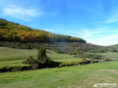 Hayedo de Tejera Negra;cerrada de elias mar y montaña la ruta de las caras curavacas plataforma de 